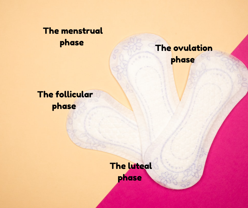 The 4 Phases of the Menstrual Cycle: Your Period Explained